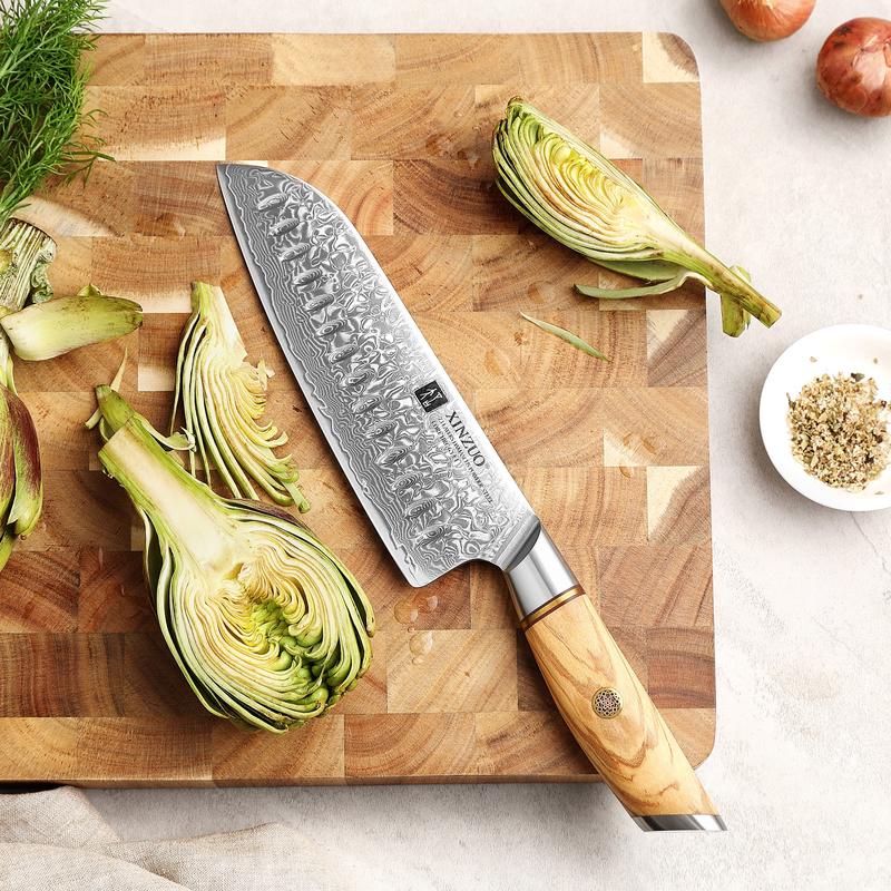 Xinxuo B37 Japanese Damascus Steel 73 Layers Powder Steel Kitchen Santoku Knife