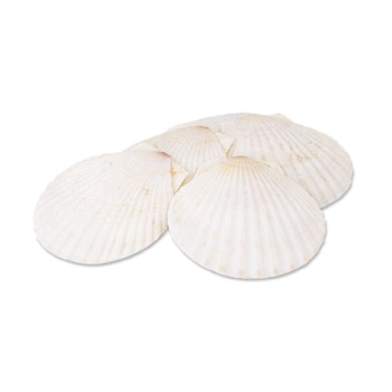 Alegacy Foodservice Products 665 Baking Shell 5-1/2" Dia. Natural
