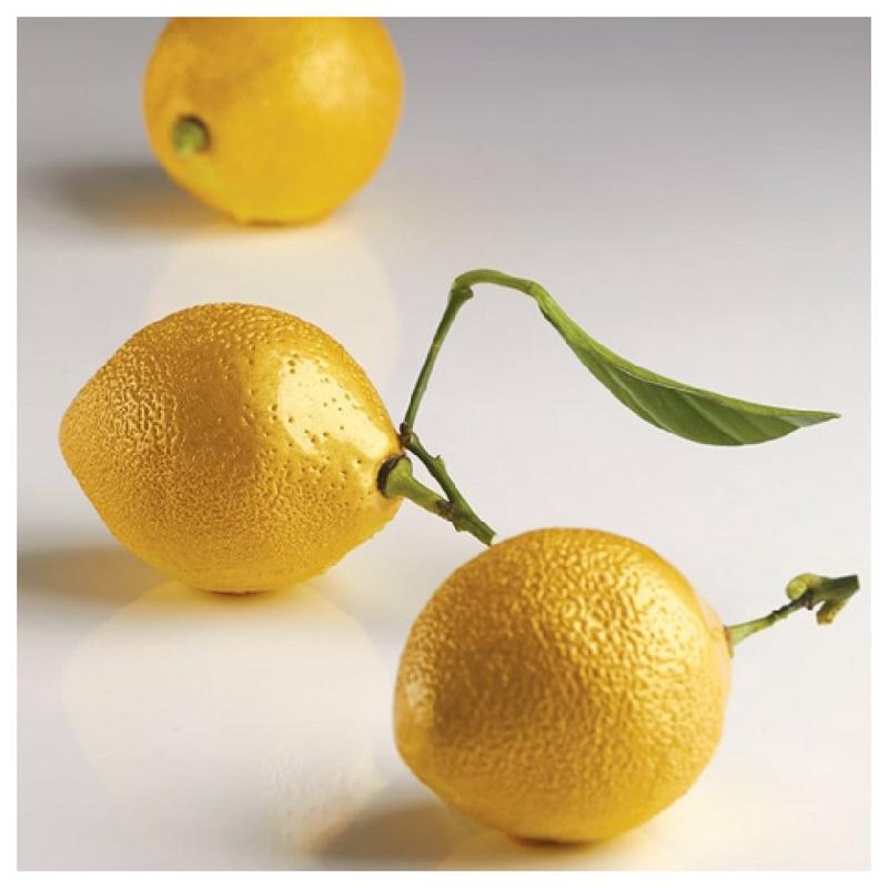 JB Prince MA236 Pavoni Citron Mold 8 Forms 2" Dia X 2.75"H Each