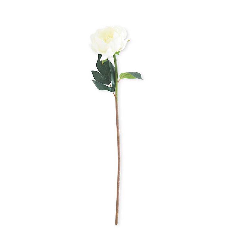 White Real Touch Peony Stem 18"