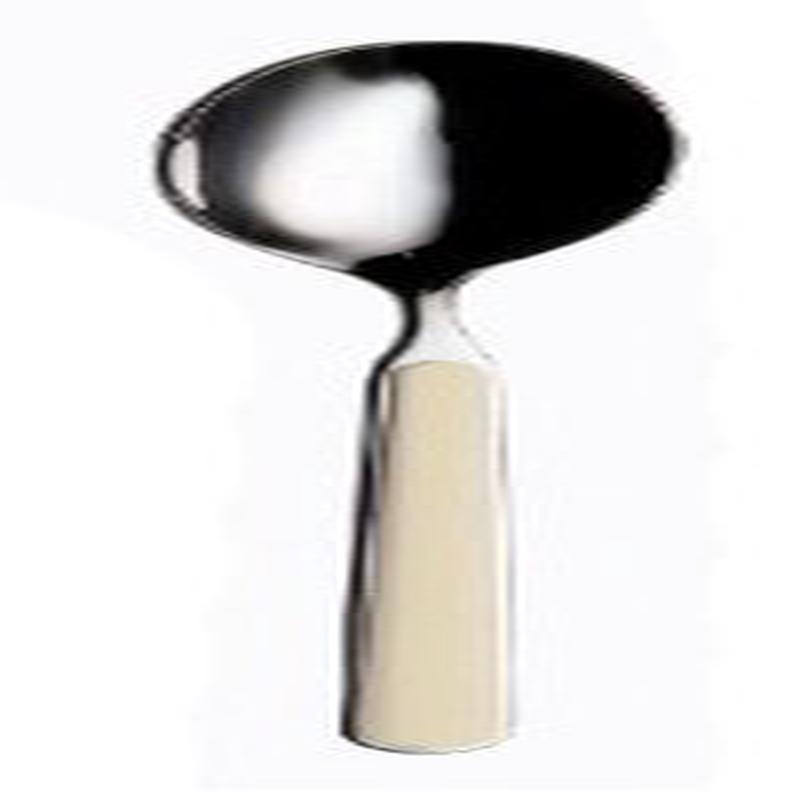 Fantasia Cooking/Serving Spoon Turtle Dove