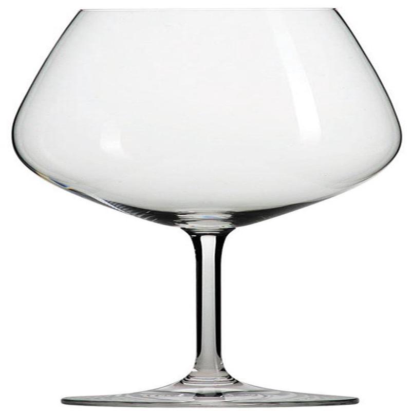 Zwiesel Forte Burgundy Glass