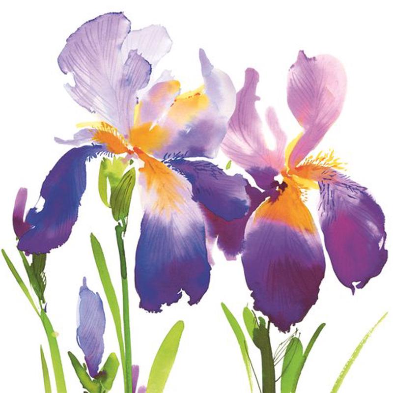 Purple Iris Napkin Beverage