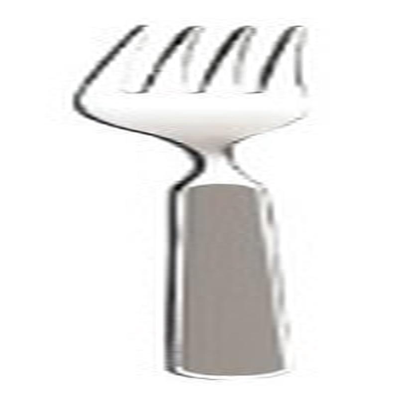 Fantasia Grey Carving Fork