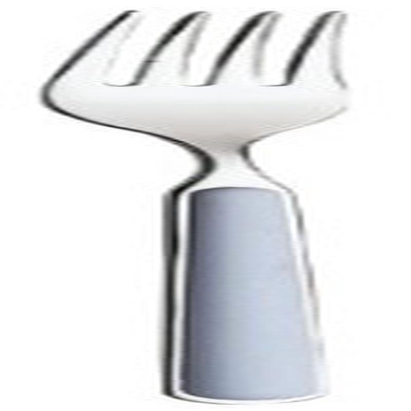 Fantasia Light Blue Carving Fork