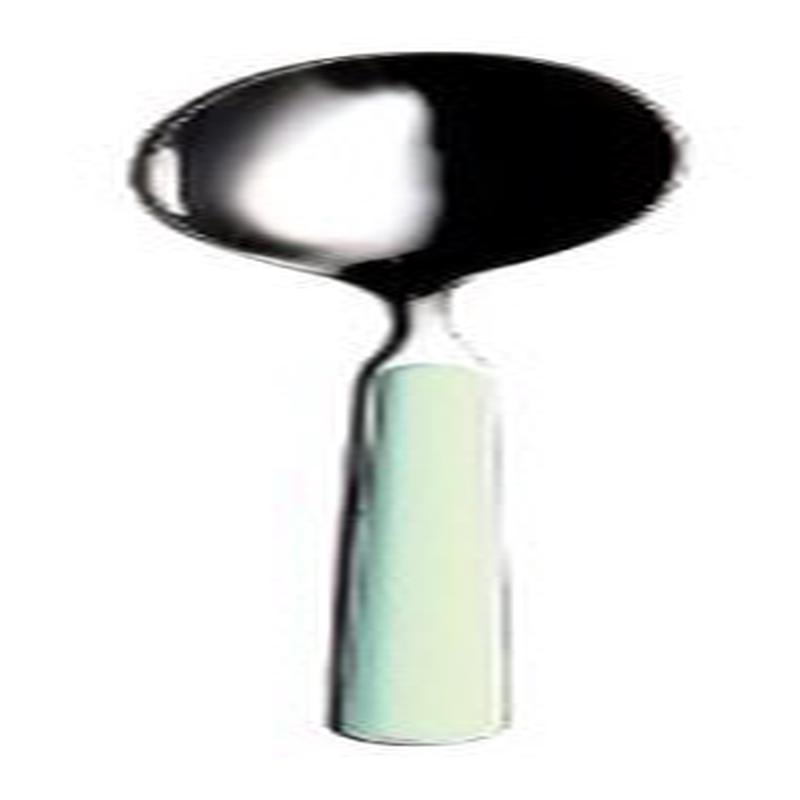 Fantasia Cooking/Serving Spoon Aquamarine