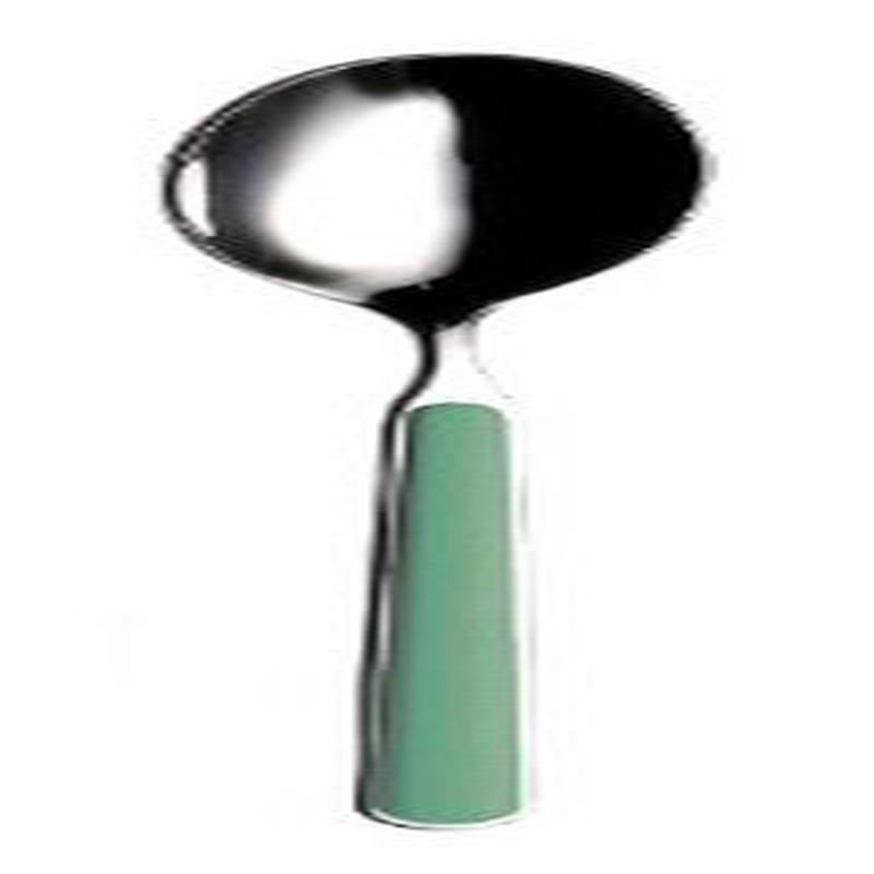 Fantasia Cooking/Serving Spoon Green Verde