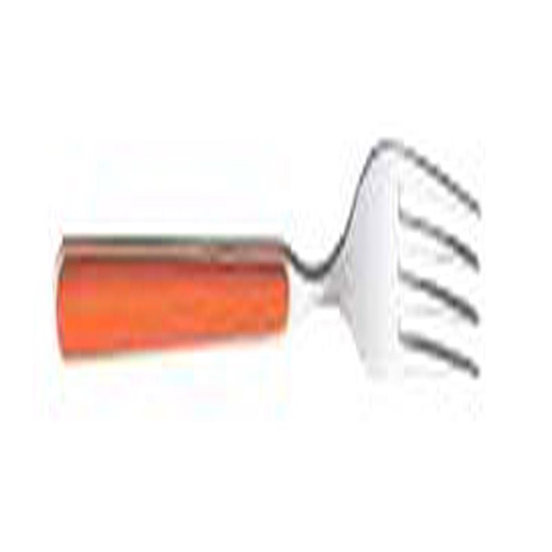 Fantasia Carrot Carota Serving Salad Fork