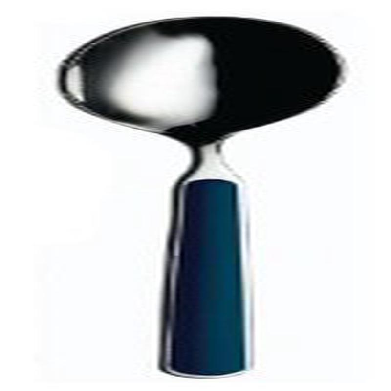 Fantasia Cobalt Cobalta Cooking/Serving Spoon