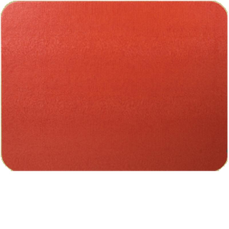 Orange Lizard Placemat