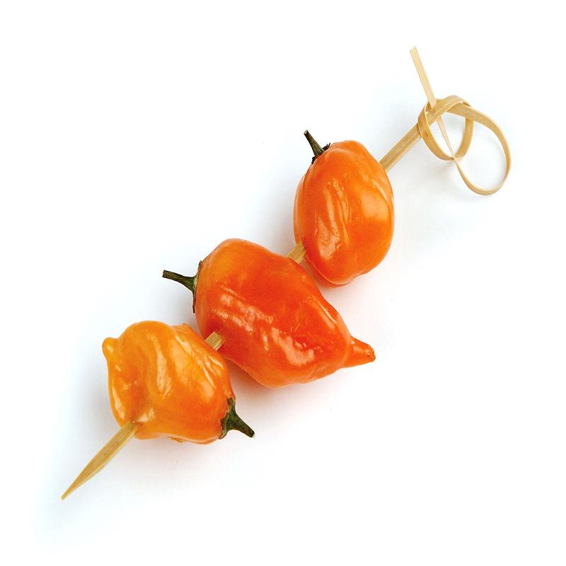 Knotted Bamboo Skewers